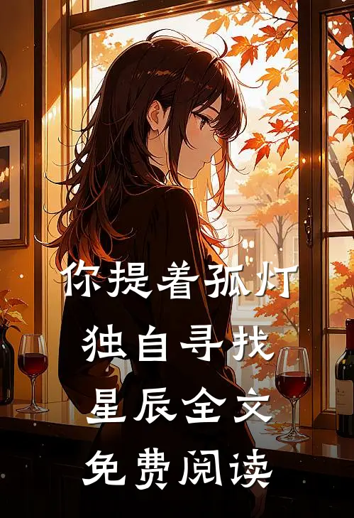 你提着孤灯，独自寻找星辰全文免费阅读