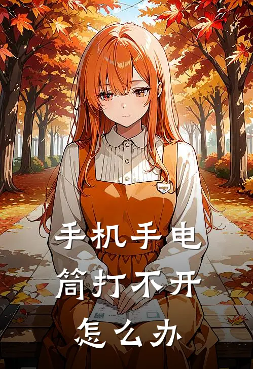 手机手电筒打不开怎么办