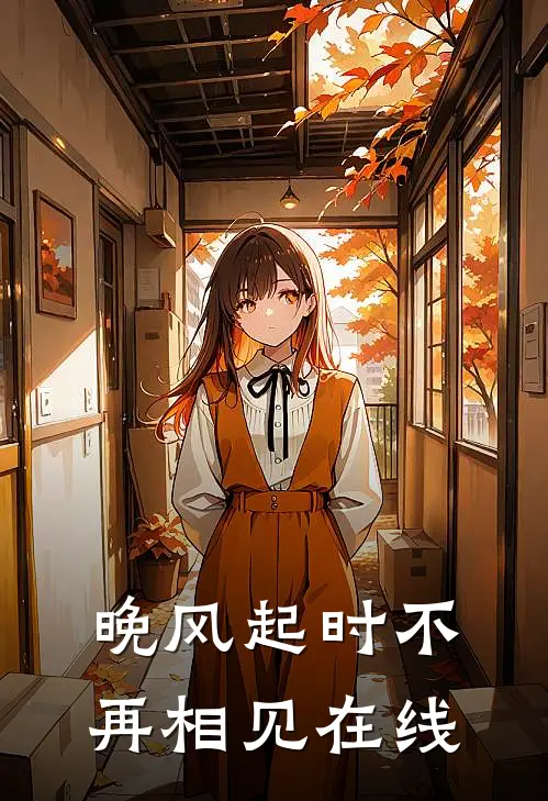 晚风起时不再相见在线