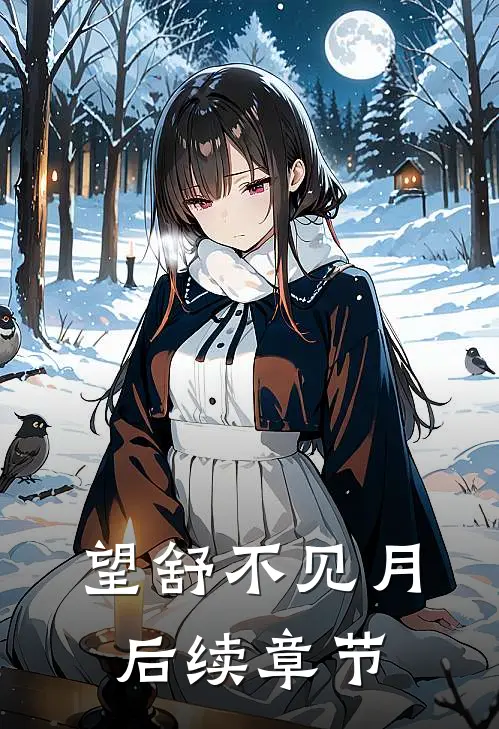 望舒不见月后续章节