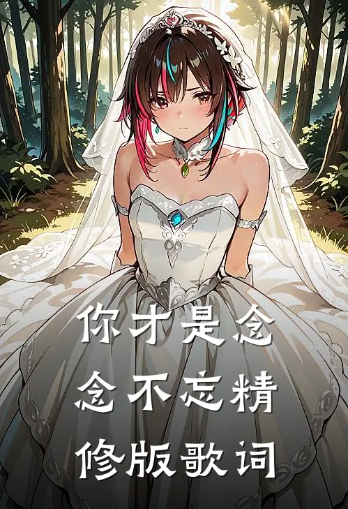 你才是念念不忘精修版歌词