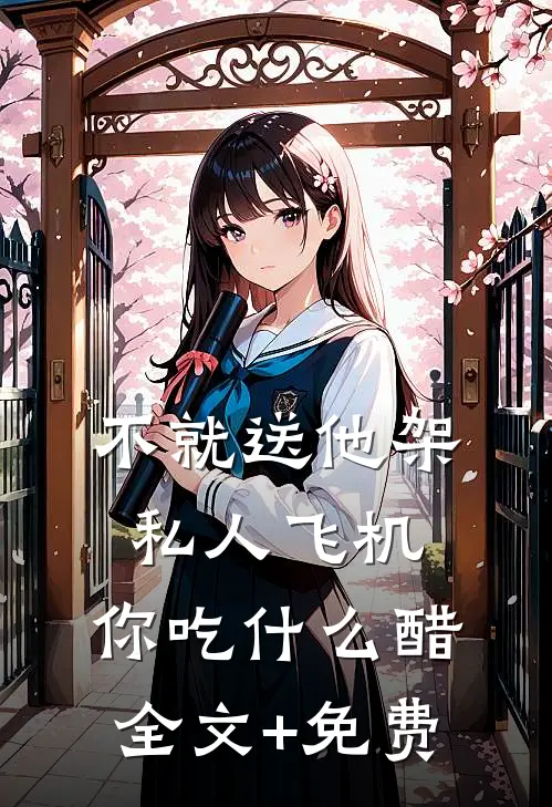 不就送他架私人飞机，你吃什么醋全文+免费